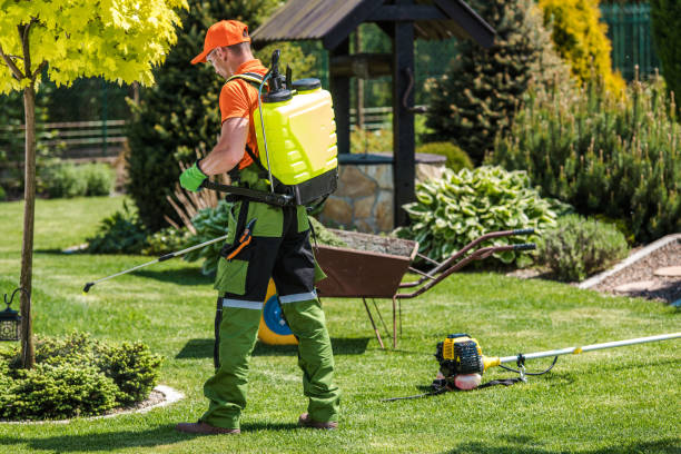 Professional Pest Control in Hudson, MI